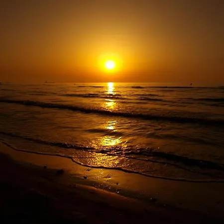 Ithaki Phinikoudes No. 202 *