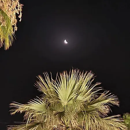 Ithaki Phinikoudes No. 202 Larnaca