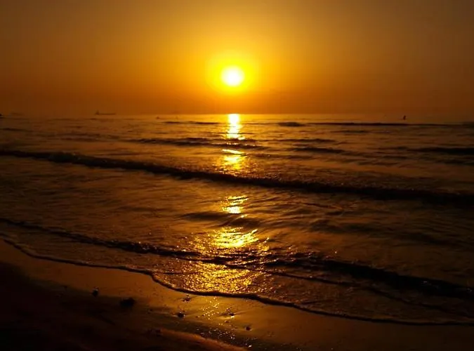 Ithaki Phinikoudes No. 202 *