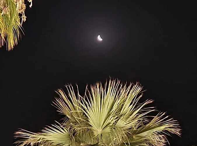 Ithaki Phinikoudes No. 202 Λάρνακα