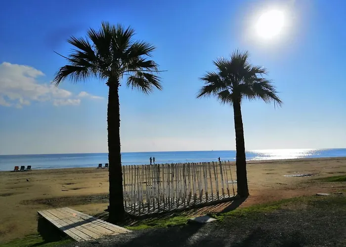 アパート Ithaki Phinikoudes No. 202 ラルナカ